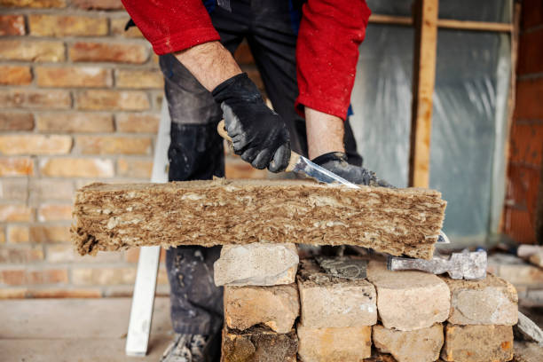 Best Insulation Replacement Services  in Washington, DC